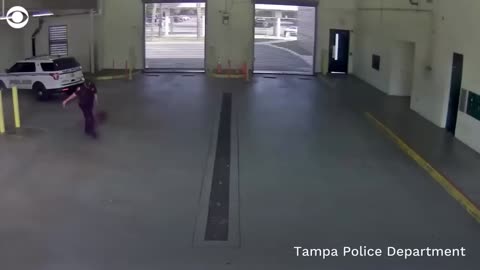 Florida police officer fired after video shows him dragging woman into jail