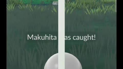 Pokémon GO-Shadow Makuhita