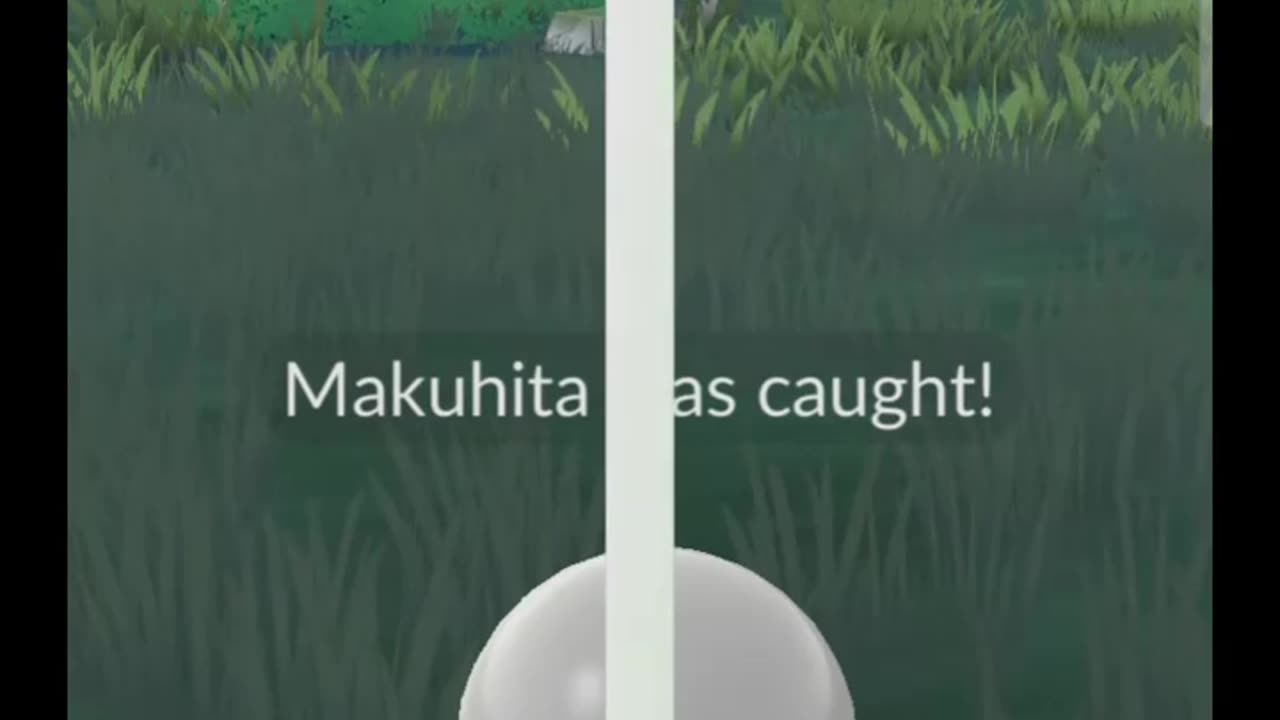 Pokémon GO-Shadow Makuhita