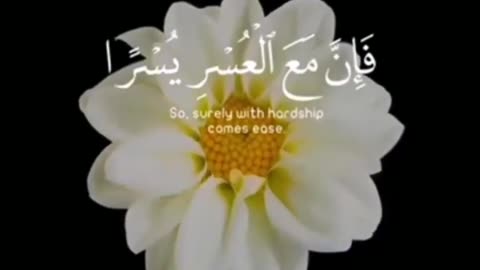 Quran #quran #quranrecitation #islam #ayat #deen #englishsubtitle #islamicinsight