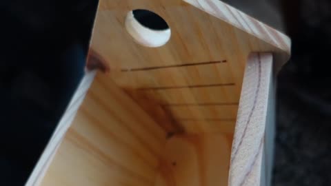 Kingsyard Wren Birdhouse. I Once Had A New Zealand Pine Birdhouse. It's NOT Pining! Make it last.