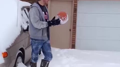 amazing funny Video Clips #shorts (167)