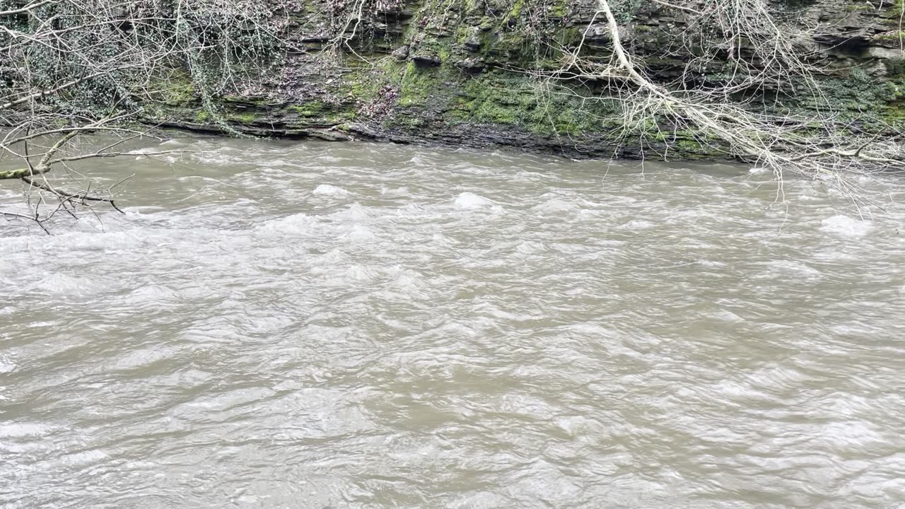 Flowing River | Calm , Relaxing | Copyright Free Stock Footage