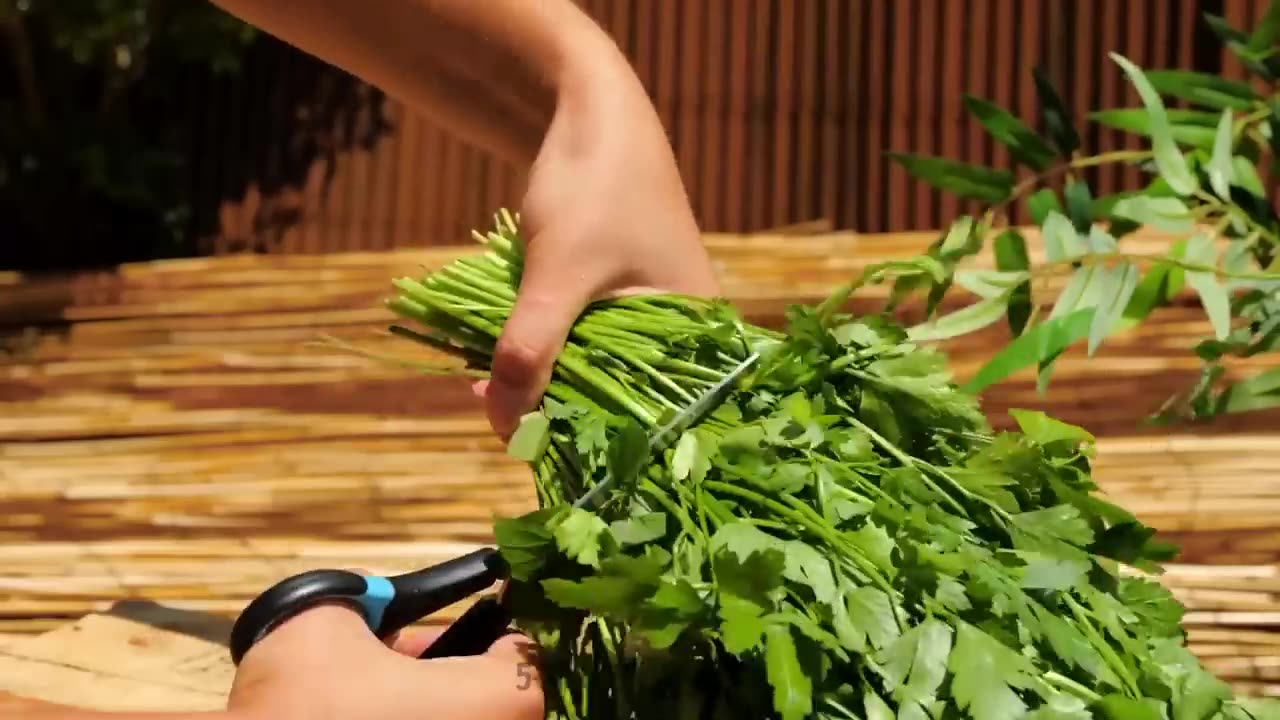 gardening tips