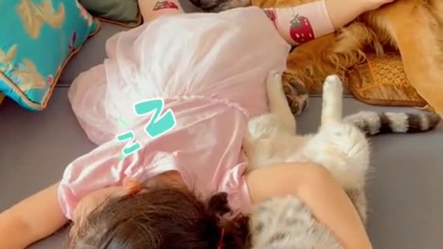 Mylittlebabyandherkittyparents.