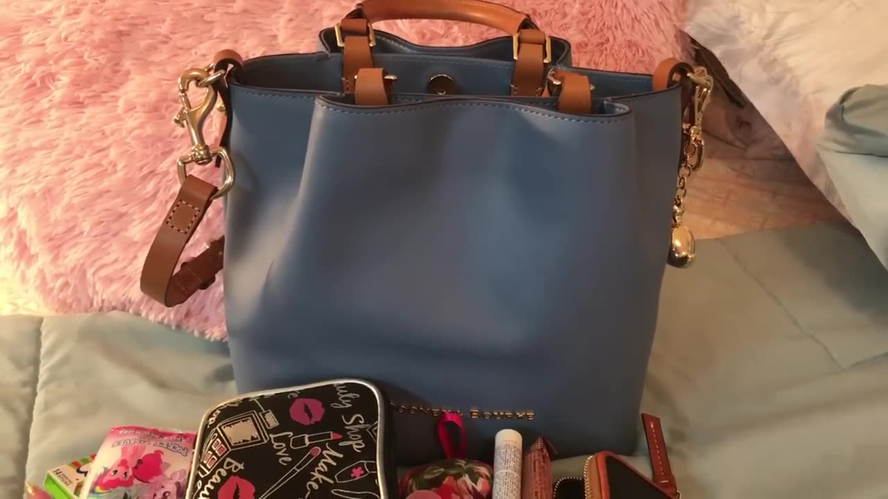 What's in my New Years Day Bag 2018. Dooney & Bourke Small Barlow Smooth Leather