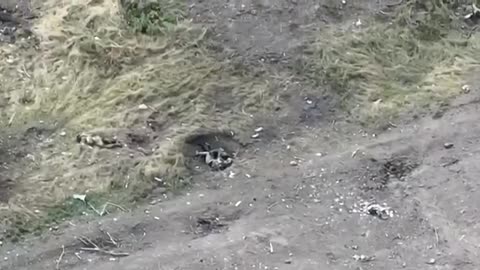 Aftermath of Intense Battle