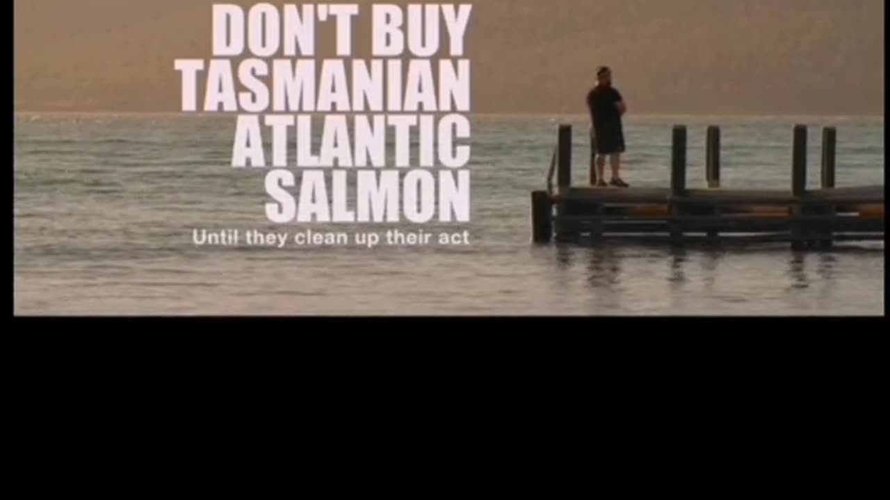 Tasmanian Atlantic Salmon - The Toxic Truth