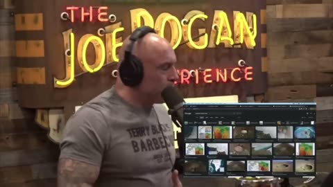 JRE: How OLD Is The Earth?! Humanity Has Amnesia?