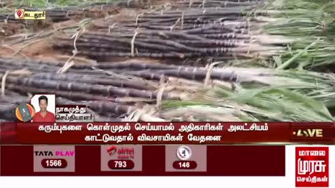 கடலூர் மாவட்டத்தில் கரும்பை கொள்முதல் செய்ய அலட்சியம் காட்டி வரும் அதிகாரிகள்