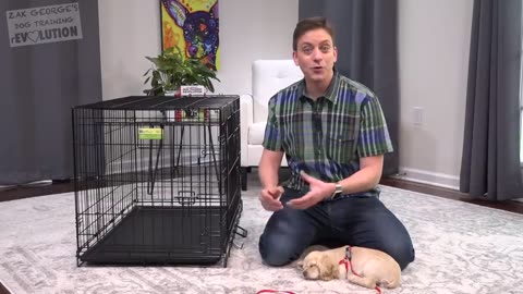 How to Crate Train a Puppy