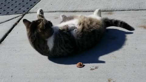 20240313 153616 Buddha Squirming