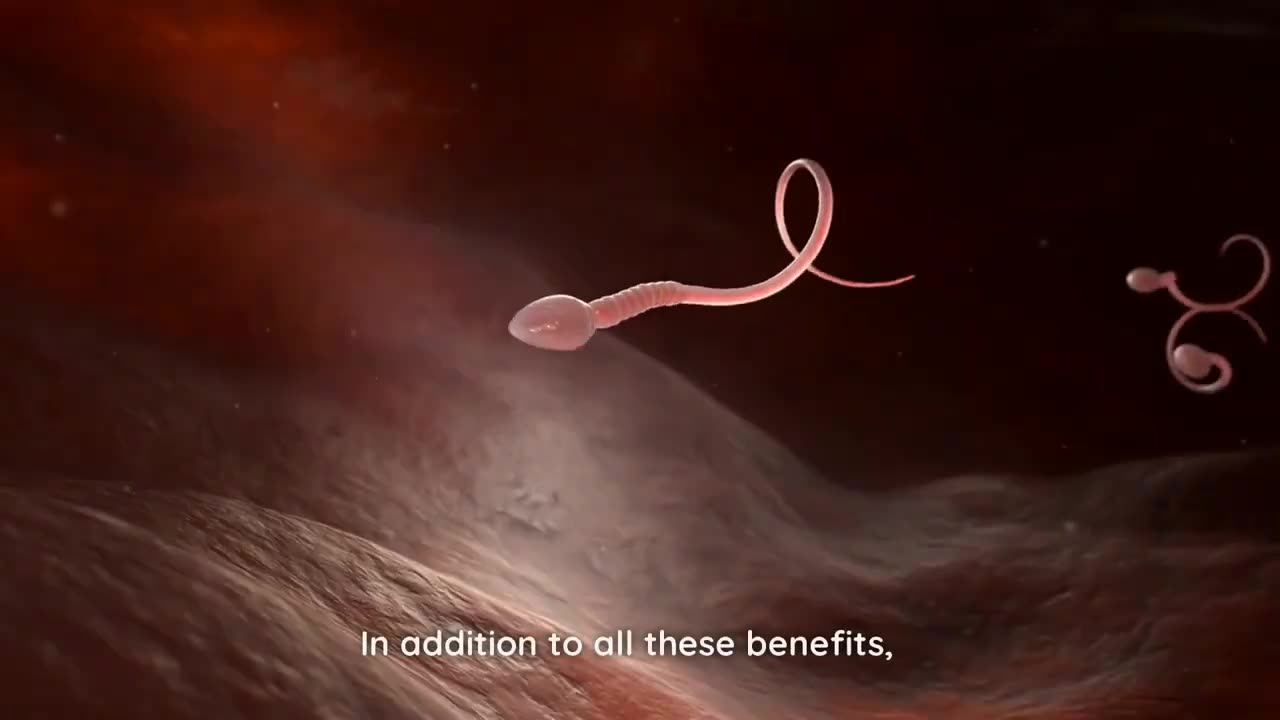 Ashwagandha_ The Game-Changing Supplement for Men!