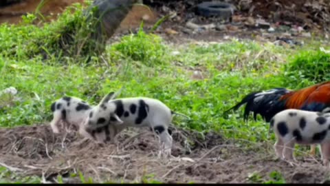 Forest animal with baby