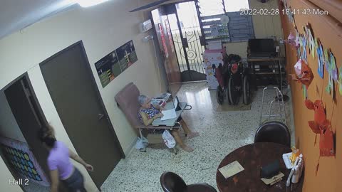 hallback day n night 20220228