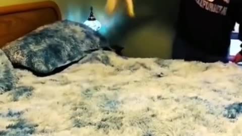 Nih bang sound lama ya
