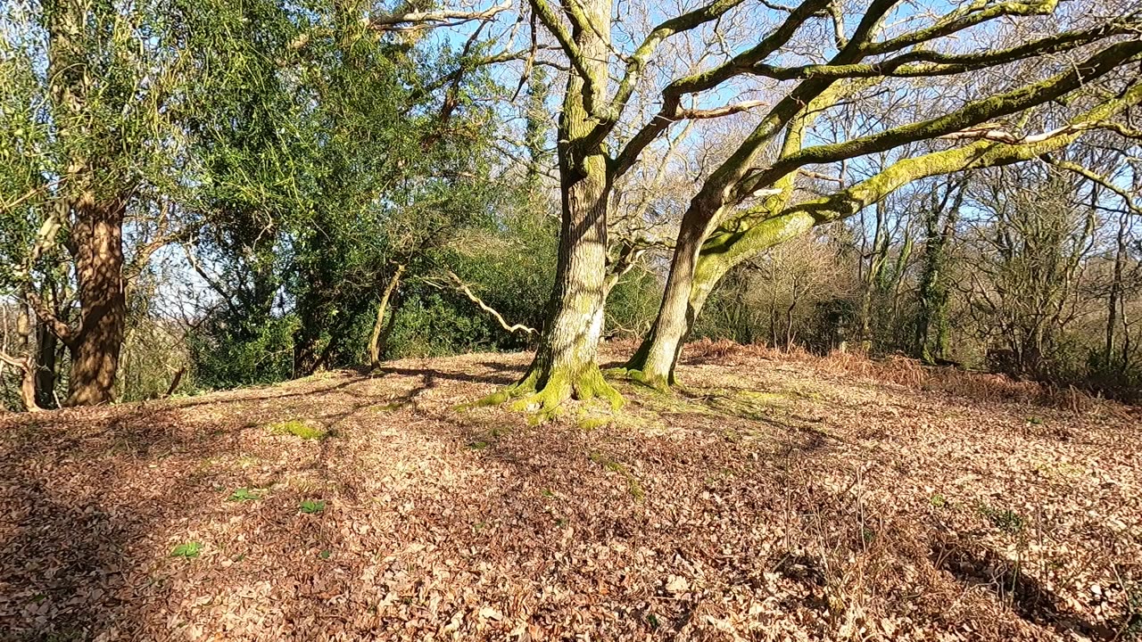 Position test before filming taking off pack. New forest hiking25th Feb 2023