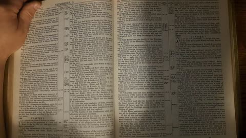 Numbers 3