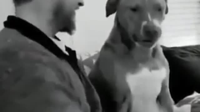 Very funny video Which will put a smile on your face