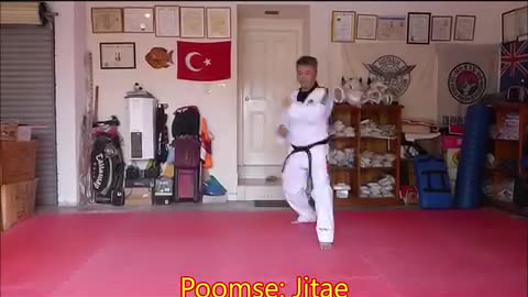 Taekwondo