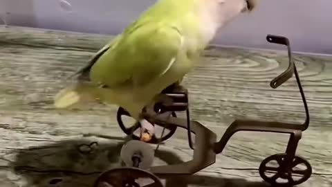 look funny !