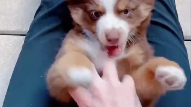 This video goes with too many sounds 💃