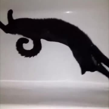 This took me a second.. 😅