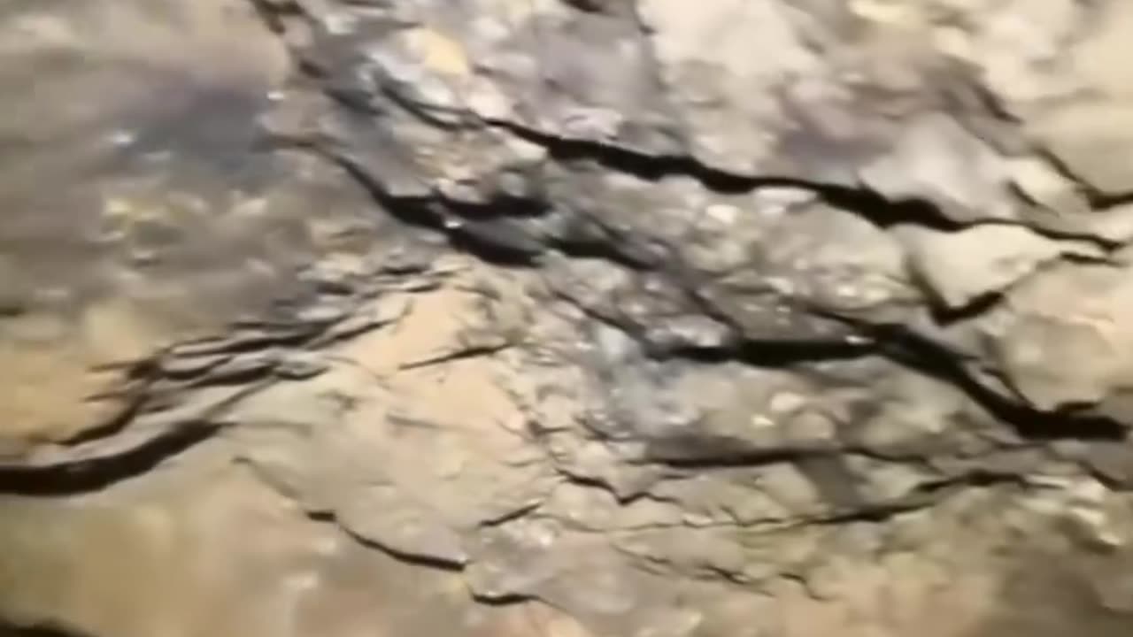 One wrong move and you are gone forever