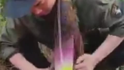 Amazing video | you must watch the video !
