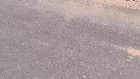 Ek tu he tu hai hontu ki hasi chehre ka noor tu🤝💋❤️