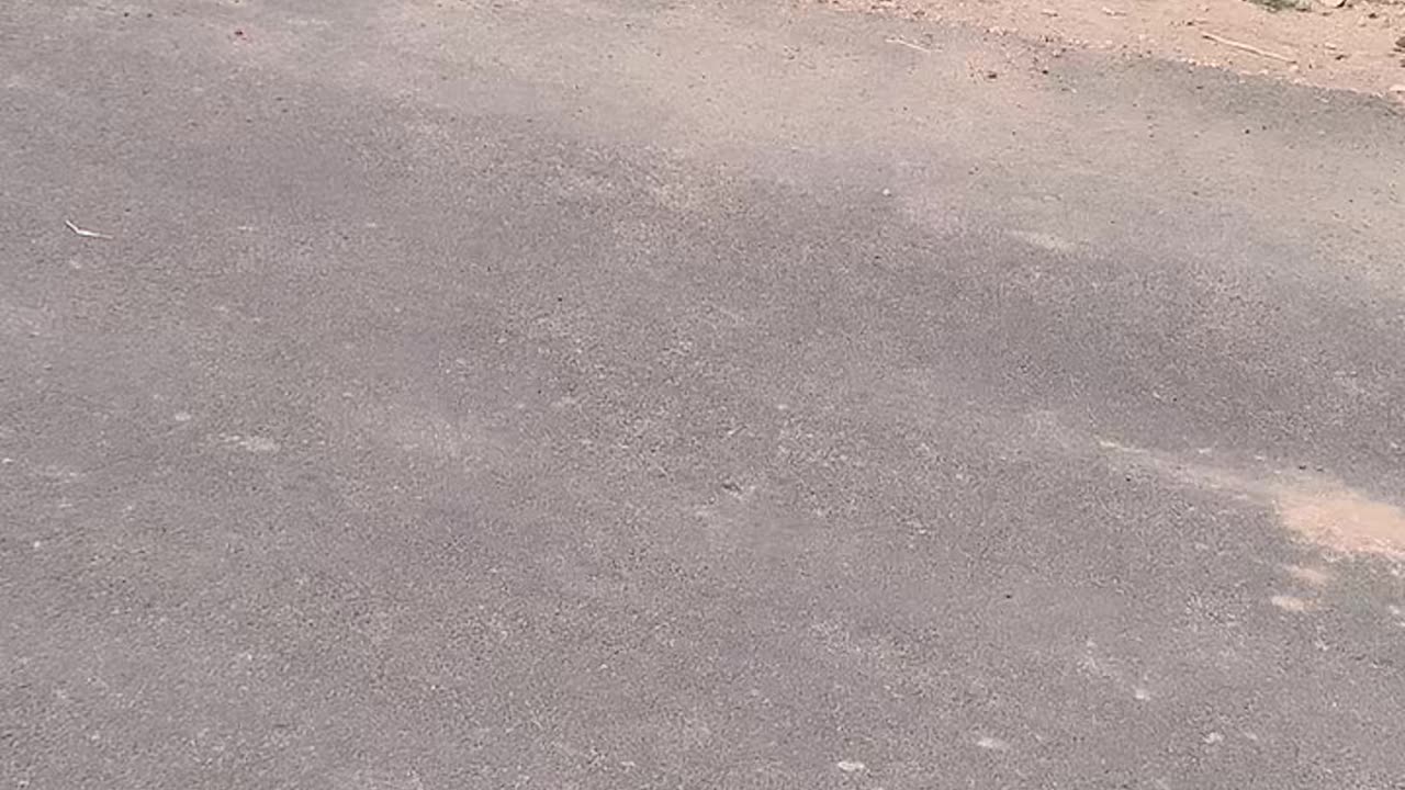 Ek tu he tu hai hontu ki hasi chehre ka noor tu🤝💋❤️
