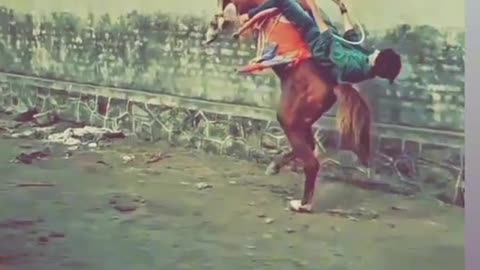Most dangerous horse 🐎 riding.. this guy has some awesome skills..!! Just survived