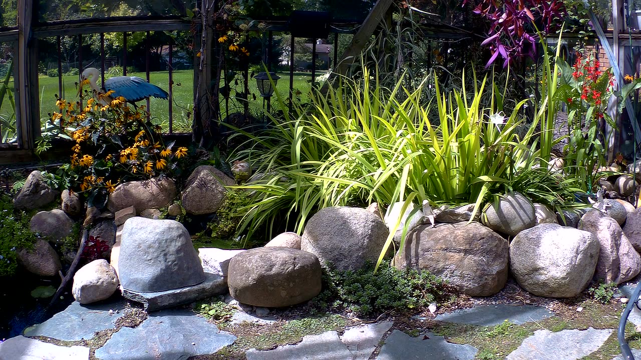 koi and goldfish pond 220831 overview