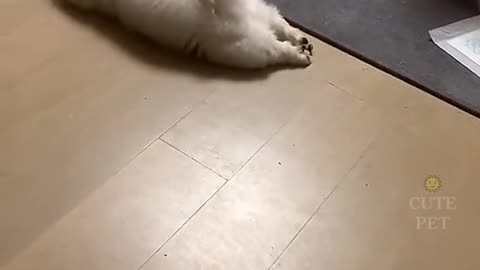 Like to lie down