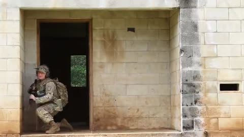 Military working joining dog training