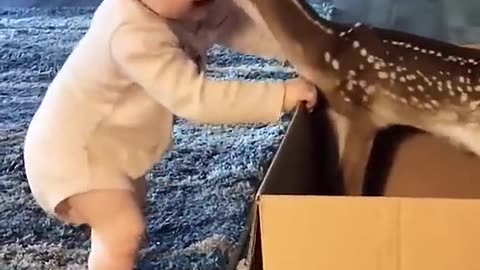 cute deer and baby video 🦌 😍