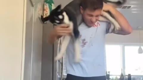 Funny and Cute Dogy Videos 2021 🐕 Its time to LAUGH 🐶 with Dog's🤣😂