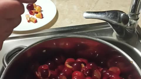Preparing cherry plums for jam part 2