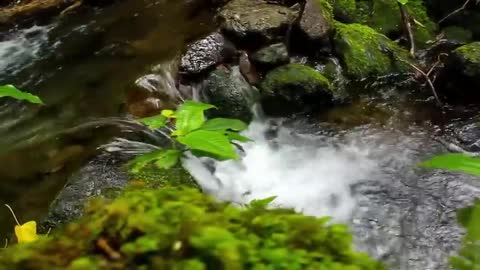 Beautiful Relaxing Music for Stress Relief ~ Calming Music ~ Meditation, Relaxation, Sleep, Spa