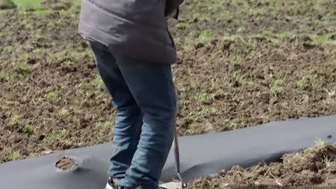 Marvel's Hero Project Clip Astonishing Austin