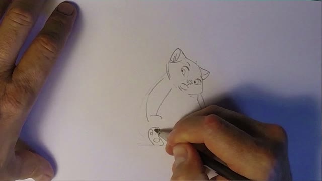 Catson02