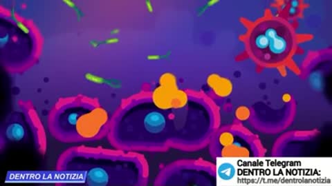 17 affermazioni complottiste : vere!