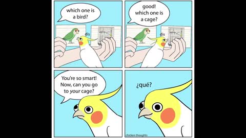Comics With A Parrot Twist