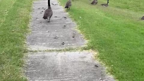 Look what WE found on our walk