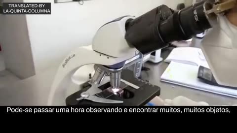 Sobre o Sangue das Cobaias Humanas.