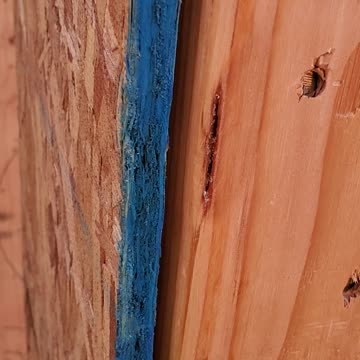 Shotty framing work. Why is there a dead body in the background