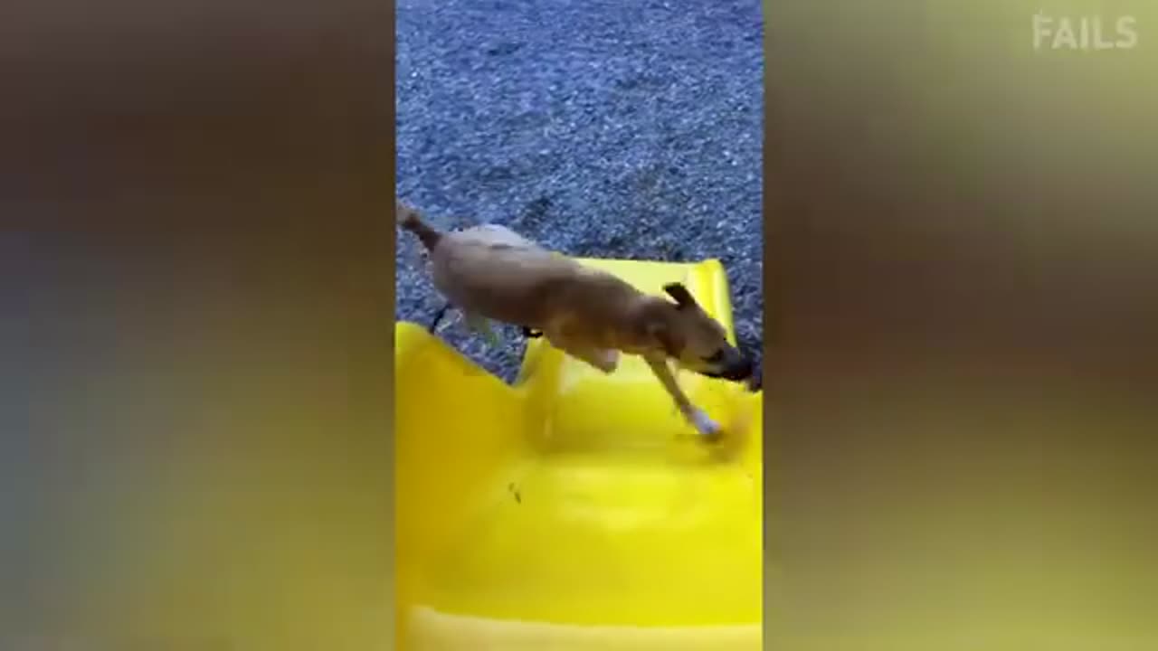 Best Funny Fails Video#2024#NEW!