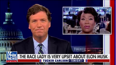 Tucker: Joy Ann Reid Is Posing as an Oppressed Person and Calls Elon Musk a Racist