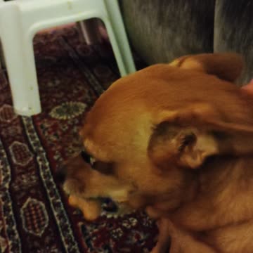 TC is bummed out? Why?