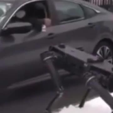 Künstliche Intelligenz - Roboter Wachhund